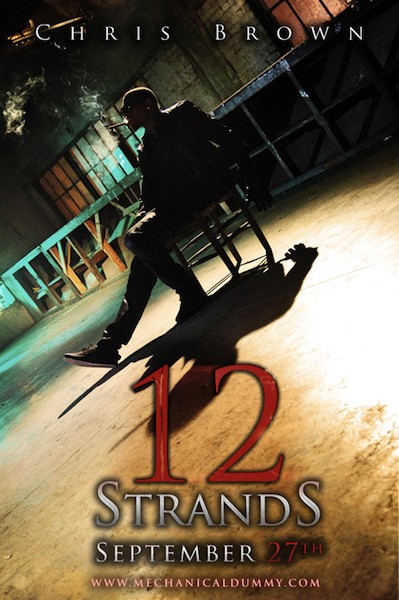 Chris Brown 12 Strands Chris Brown 12 Strands